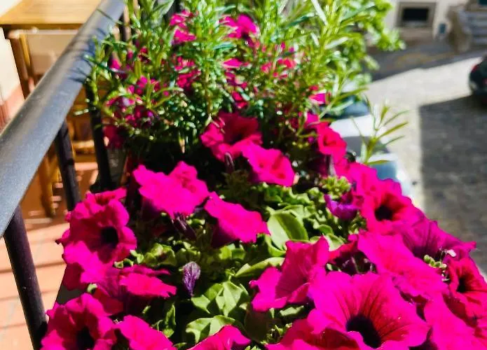 Balcone Fiorito, Nel Cuore Del Centro Storico Di كورتونا