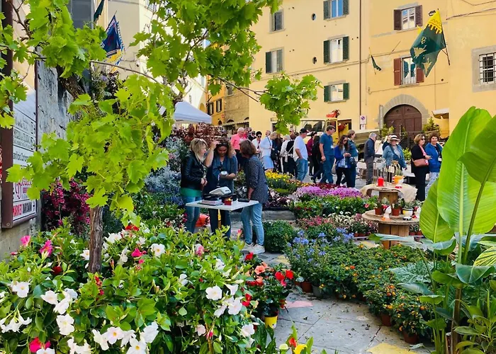 Balcone Fiorito, Nel Cuore Del Centro Storico Di * كورتونا