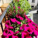 Balcone Fiorito, Nel Cuore Del Centro Storico Di 코르토나