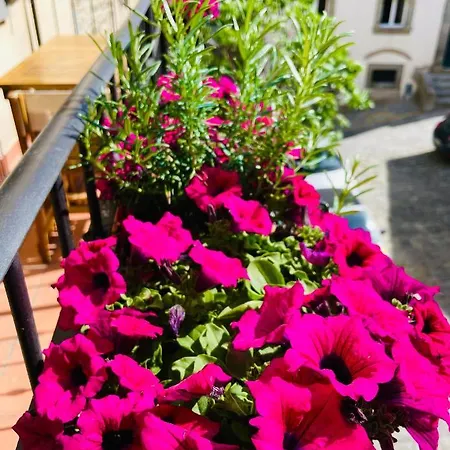 Balcone Fiorito, Nel Cuore Del Centro Storico Di كورتونا