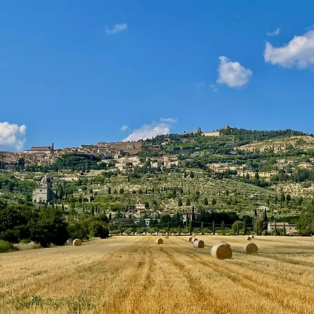 Balcone Fiorito, Nel Cuore Del Centro Storico Di