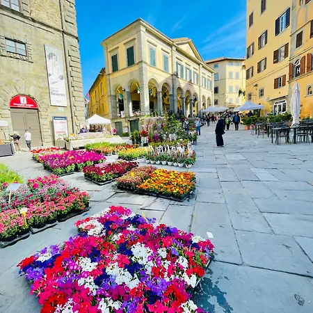 Balcone Fiorito, Nel Cuore Del Centro Storico Di Lejlighed Cortona