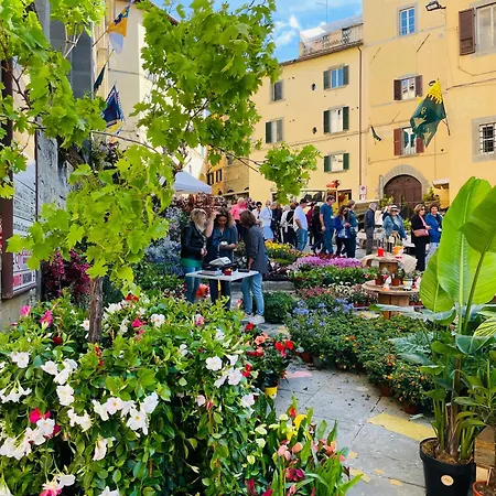 Balcone Fiorito, Nel Cuore Del Centro Storico Di * Cortona