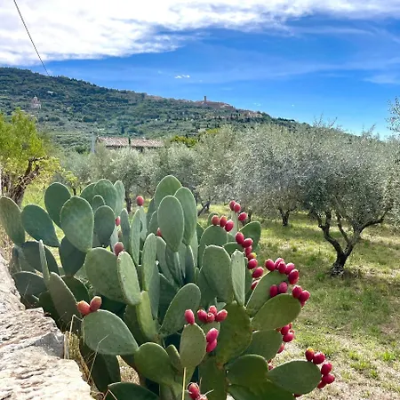 Balcone Fiorito, Nel Cuore Del Centro Storico Di Apartamento