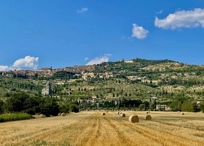 Balcone Fiorito, Nel Cuore Del Centro Storico Di