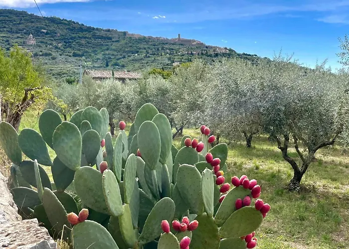 Balcone Fiorito, Nel Cuore Del Centro Storico Di Apartment